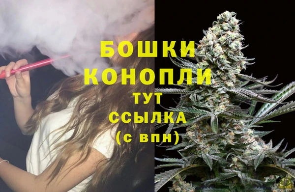 гидропоника Зеленодольск