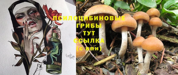 МДМА Инсар