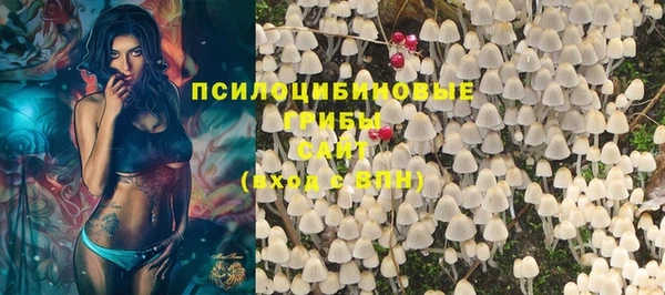 герыч Инта