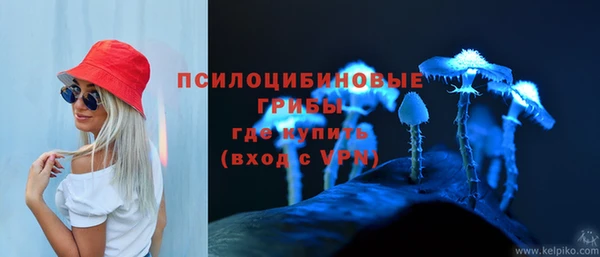 первитин Зерноград