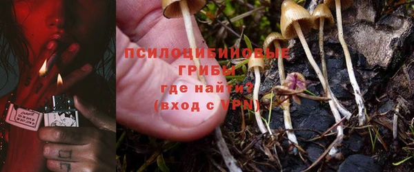 МДМА Инсар