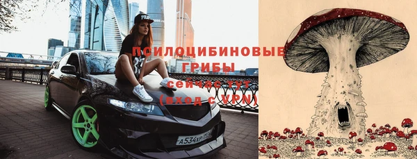 герыч Инта
