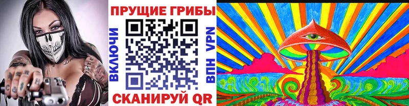 Псилоцибиновые грибы MAGIC MUSHROOMS  Купить  Зея 